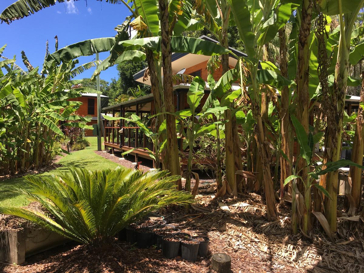 Kin Kin Cottage Retreat エクステリア 写真